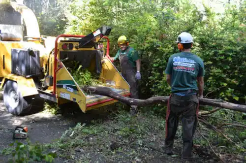 tree services Gilbertville